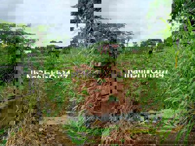 Chính chủ bán đất vườn ôm suối