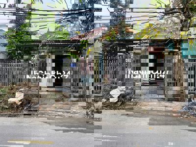 Chính Chủ Bán Nhà Vườn Sổ Riêng Đường Nhựa Lớn Công Chứng Ngay