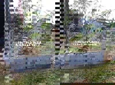 Đất thổ cư 5x37 chính chủ bán lỗ chỉ 97tr