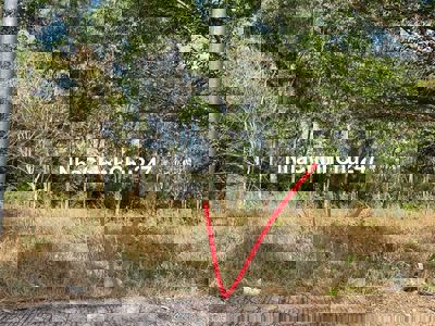 Chính chủ kẹt vốn kinh doanh và ngân hàng nên cần bán gấp lô đất ở