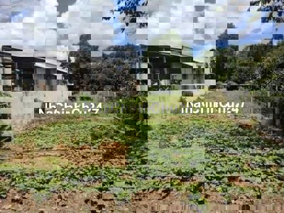 chủ ngộp ngân hàng bán lỗ 95tr thu hồi vốn