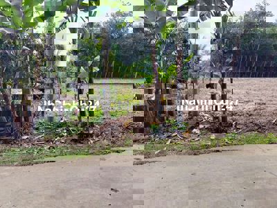 Đất chính chủ, 100m2 Thổ cư, nằm trong khu dân cư 1/500