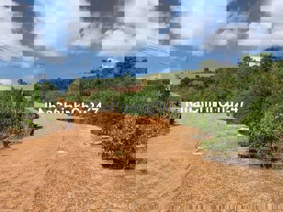 HOT!! CHÍNH CHỦ GỬI BÁN LÔ ĐẤT VIEW HỒ ĐẸP TẠI DI LINH – LÂM ĐỒNG