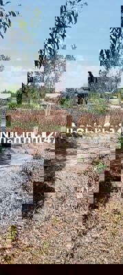 Chính chủ Cần bán 1000m2 đất vườn mặt tiền kênh