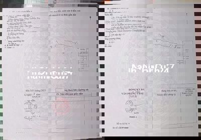 Bán gấp đất Giồng Trôm 600 m2  CLN Chính Chủ