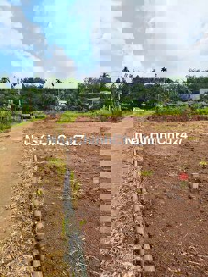 Đất chín chủ chị tôi ngộp cần ra gấp