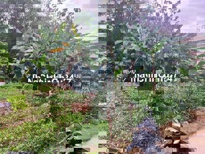 Chính Chủ Bán Đất ở tại tôn đản nối dài