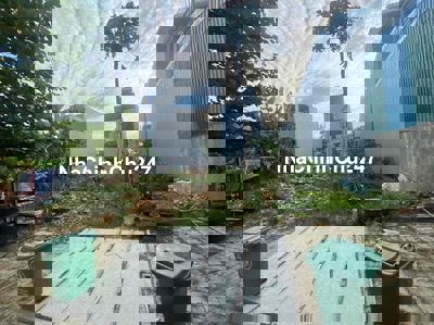 🏡 CHÍNH CHỦ BÁN ĐẤT PHƯỚC TƯỜNG 6 – HÒA PHÁT – CẨM LỆ