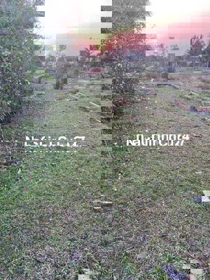 CHÍNH CHỦ BÁN ĐẤT LONG AN 1.068 tỷ