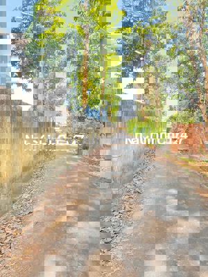 CHỦ NGỘP BÁN GẤP ĐẤT SÁT VÁCH TRƯỜNG HỌC