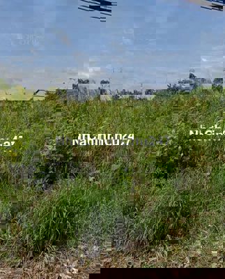 Chính chủ cần bán đất dt 115m2 giá 968tr Bình Chánh