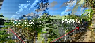 Chính chủ cần bán gấp đất thổ cư 157m2 Cần Giuộc, Long An