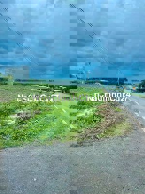 Đất Ngộp Chính Chủ Cần Bán