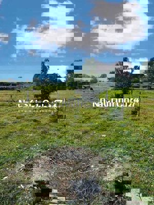 CHÍNH CHỦ GỞI BÁN LÔ NGUYỄN THỊ VUI, PHƯỚC HIỆP 140M2 GIÁ 420TR