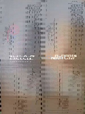 Đất mặt tiền đường Trần Lê chính chủ