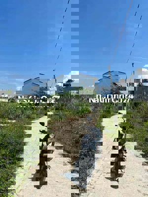 CHÍNH CHỦ BÁN LÔ ĐẤT ĐẸP PHƯỜNG VĨNH TRUNG –NHA TRANG – 1 TỶ 350