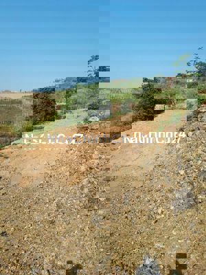 Đất Trồng Cây Có Sổ Hồng Chính Chủ DiLinh Lâm Đồng