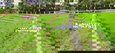 chính chủ cần bán đat thổ