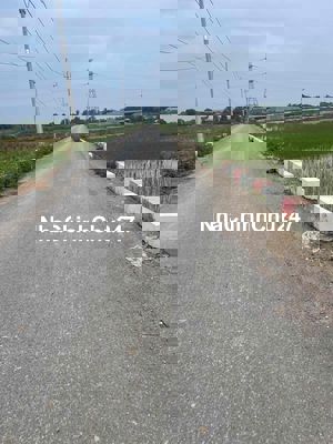 chính chủ gửi bán trang trại sinh thái tại Cấn Hữu, Quốc Oai. chỉ 2,3