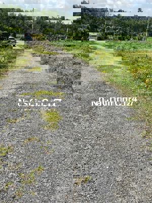 Chính chủ bán gấp 2200m2 giá cực rẻ giảm sâu