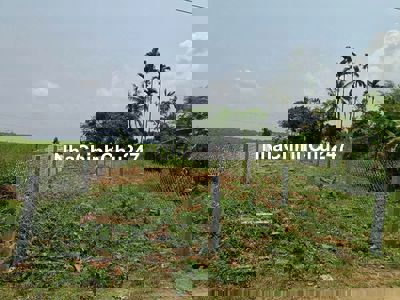 Chính chủ kẹt bank cần bán lo đất tại bình trung- thăng bình- q nam