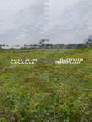 Đất thổ cư chính chủ