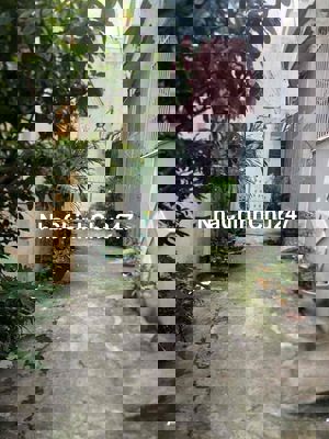 chính chủ cần bán 60 m2 đất