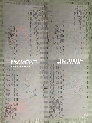 CHÍNH CHỦ BÁN ĐẤT ĐI MỸ