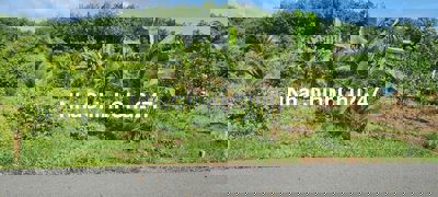 Chủ Cần Bán Gấp