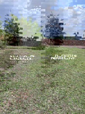 CHÍNH CHỦ BÁN LÔ ĐẤT ĐƯỜNG LỘC HOÀ LỘC GIANG ĐỨC HOÀ