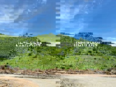 CHỦ CẦN BÁN GẤP 55 HA ĐẤT NÔNG NGHIỆP NGAY QL 26 - KHÁNH HÒA