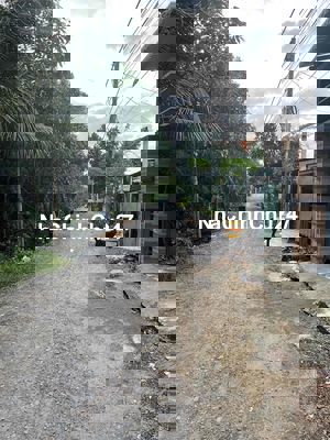 Chính chủ cần bán mặt tiền lô B đường Thanh Niên có dòng tiền