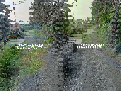 CHÍNH CHỦ CẦN BÁN DT 2.624 M2 TẠI BẾN LỨC