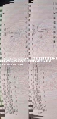 Bán đất chính chủ, mặt tiền đường xã, xã Lợi Thuận, Bến Cầu, Tây Ninh