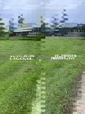 CHÍNH CHỦ BÁN GẤP LÔ ĐẤT ĐƯỜNG LỘC HOÀ