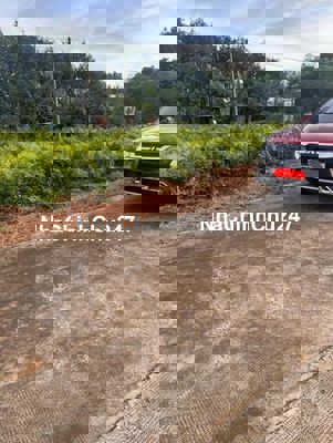 Chính chủ bán gấp 334m² Tân Lợi – giá 330tr (shr, sang tên trong ngày)