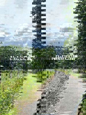 Đất sài gòn 1600m2 thổ cư shr, chính chủ bán nhanh 650tr