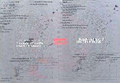 Chính chủ bán đất 1038m2 ở xã Lộc Bảo, Huyện Bảo Lâm, tỉnh Lâm Đồng.