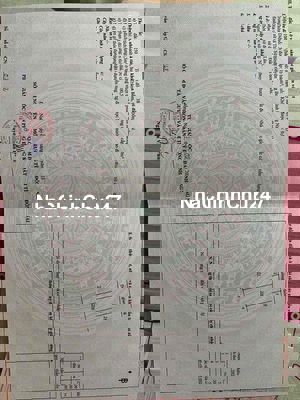 bán đất chính chủ tại trung tâm Thanh Bình Trảng Bom