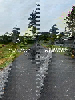 CHỦ CẦN BÁN LÔ MT ĐƯỜNG NHỰA 140M2 FULL THỔ CỬ PHƯỚC HIỆP CỦ CHI