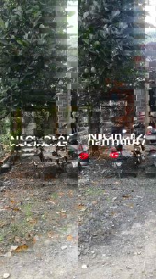 Chính chủ cần bán gấp Đất thổ cư 135m2 gần Quốc Lộ N2