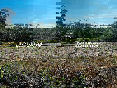 chủ ngộp bán nhanh 1279m2 đất thanh an Dầu Tiếng Tphcm giá 890 triệu