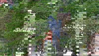 Chính chủ bán villa sân vườn ven Đà Lạt 363m² sổ riêng sẵn thổ cư