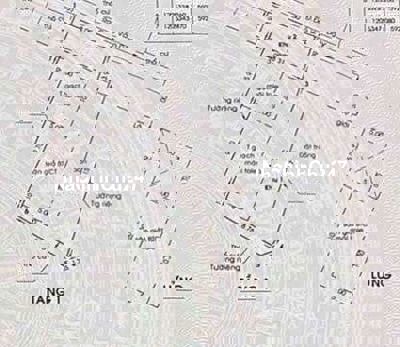 Chủ kẹt tiền giàm mạnh 600tr xuống 5,5 tỷ nhà dt khủng 8x25m,nở hậu 9m