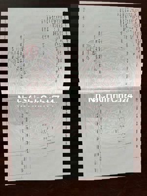 Chủ ngộp ra gấp lô đất full thổ sau TTHC Bàu Bàng, sổ sắn, giá bao mềm