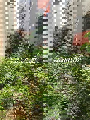 🔥 CƠ HỘI CÓ 1-0-2 – CHÍNH CHỦ CẦN BÁN LÔ ĐẤT ĐẸP ĐỒNG HÒA – KIẾN AN 🔥