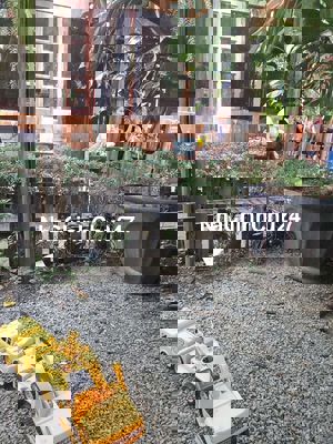 TÔI CHỦ ĐẤT BÁN ĐẤT THỔ CƯ 100%, 150 M2,HƯỚNG ĐN,NGANG 7M5,VUÔNG VỨC