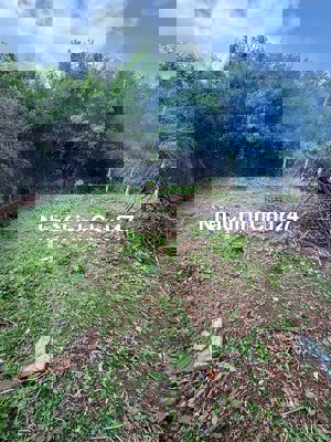 Chính chủ cần ra đi mảnh đất tâm huyết 10.5m ngang ở Xuyên Mộc TPHCM