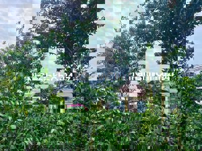 CHỦ GỬI BÁN ĐẤT CÓ NHÀ CẤP 4 tại Lâm Hà