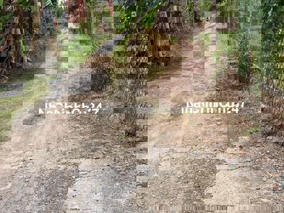 chính chủ gửi lo đất nhi bình dt 20x19 giá 2 tỷ 5